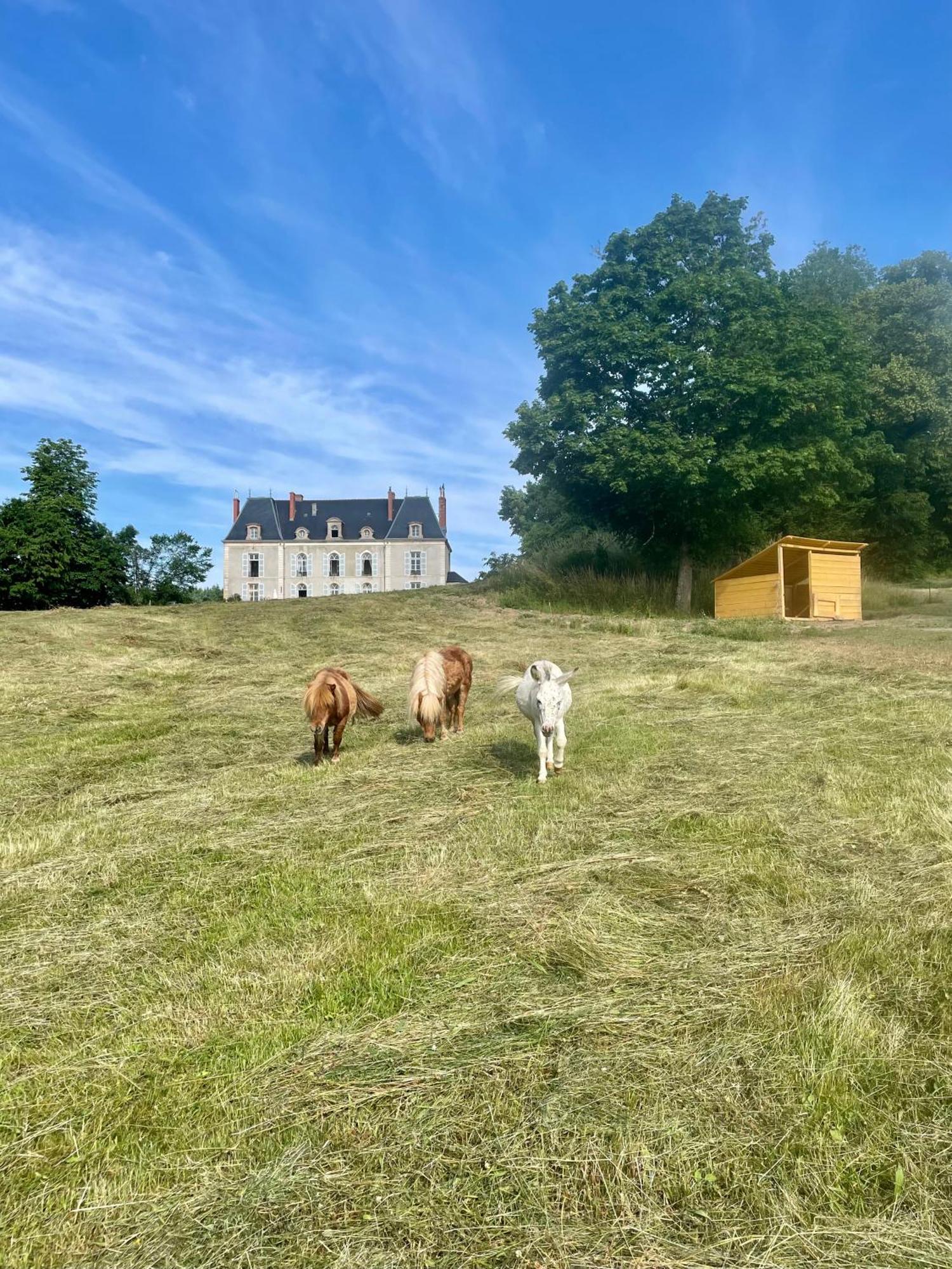 Couette-café Chateau De Vaux Morvan *
