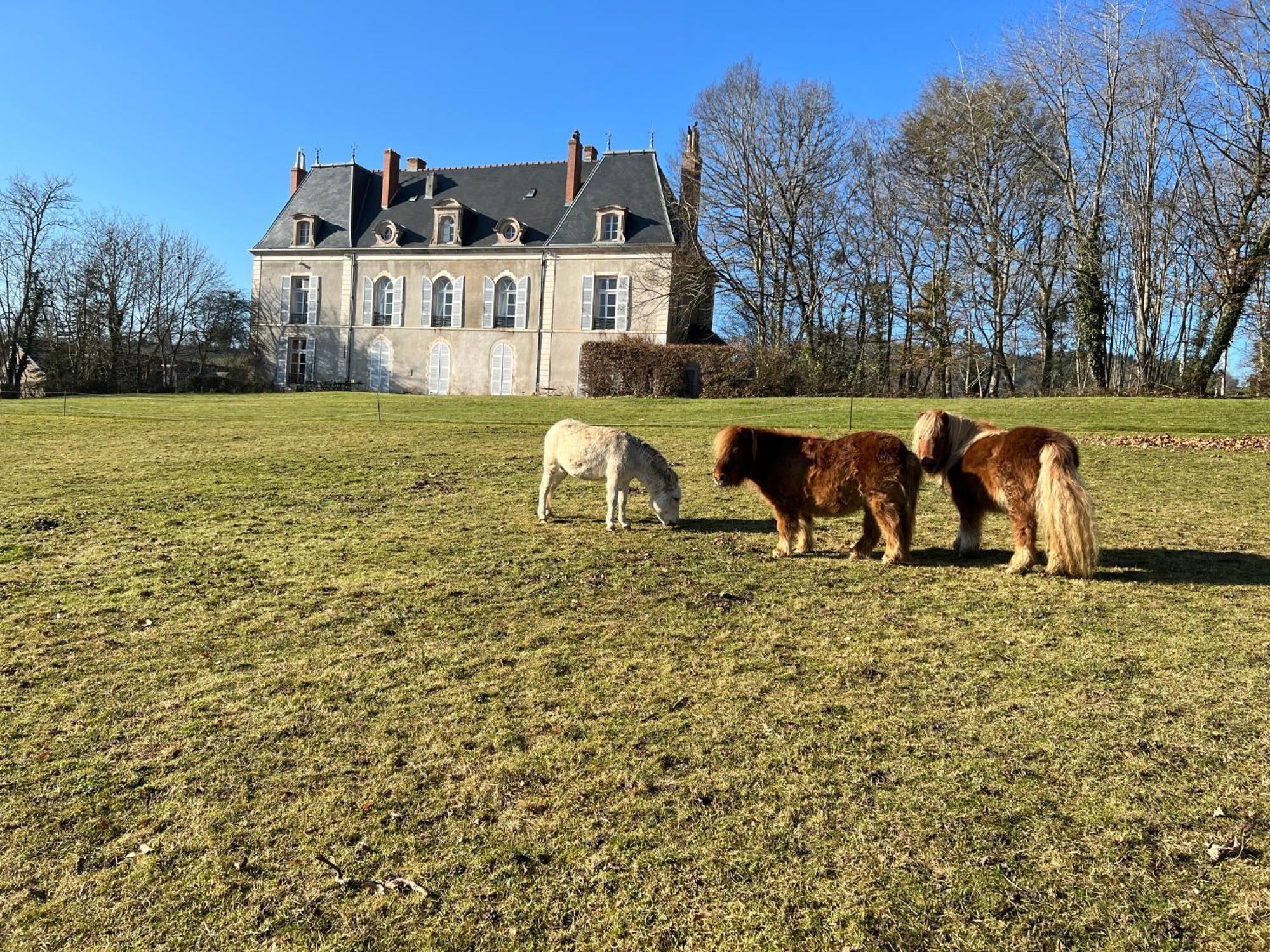 Couette-café Chateau De Vaux Morvan *